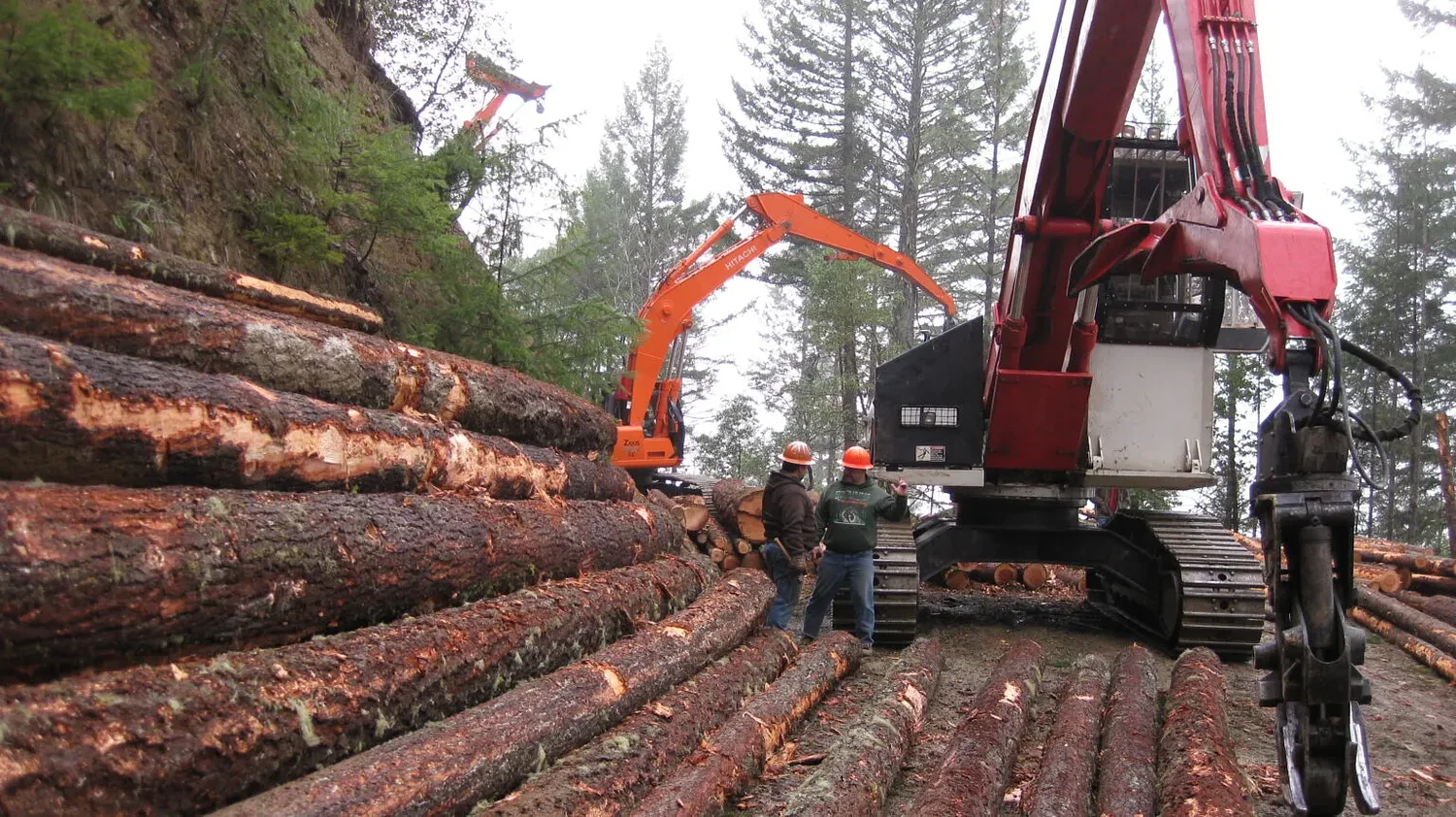 Loveall touts benefits of federal timber bill, as county evaluates revenue potential
