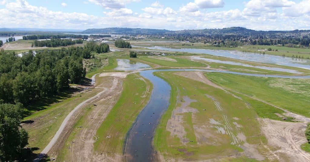 What the largest project of its kind on Lower Columbia means for salmon, waterfowl