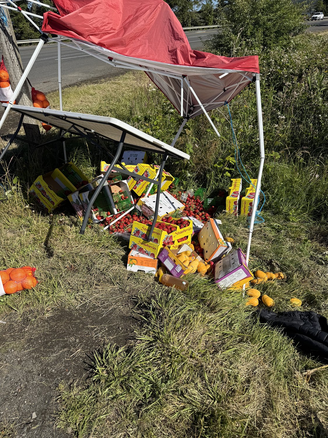 Man investigated for bias crime in fruit stand attack shot and killed by police