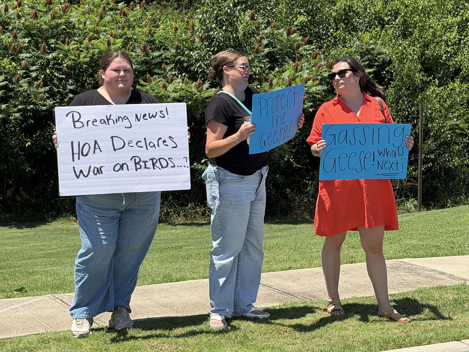 North Alabama HOA reverses decision on fate of hundreds of geese: ‘We have heard your voices’