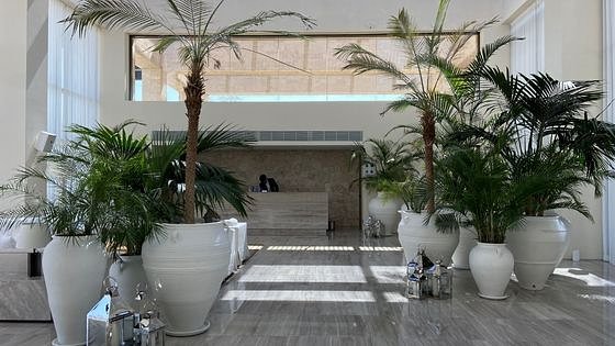 2024 The Bodrum Edition Review - Where to Stay in Bodrum Turkey