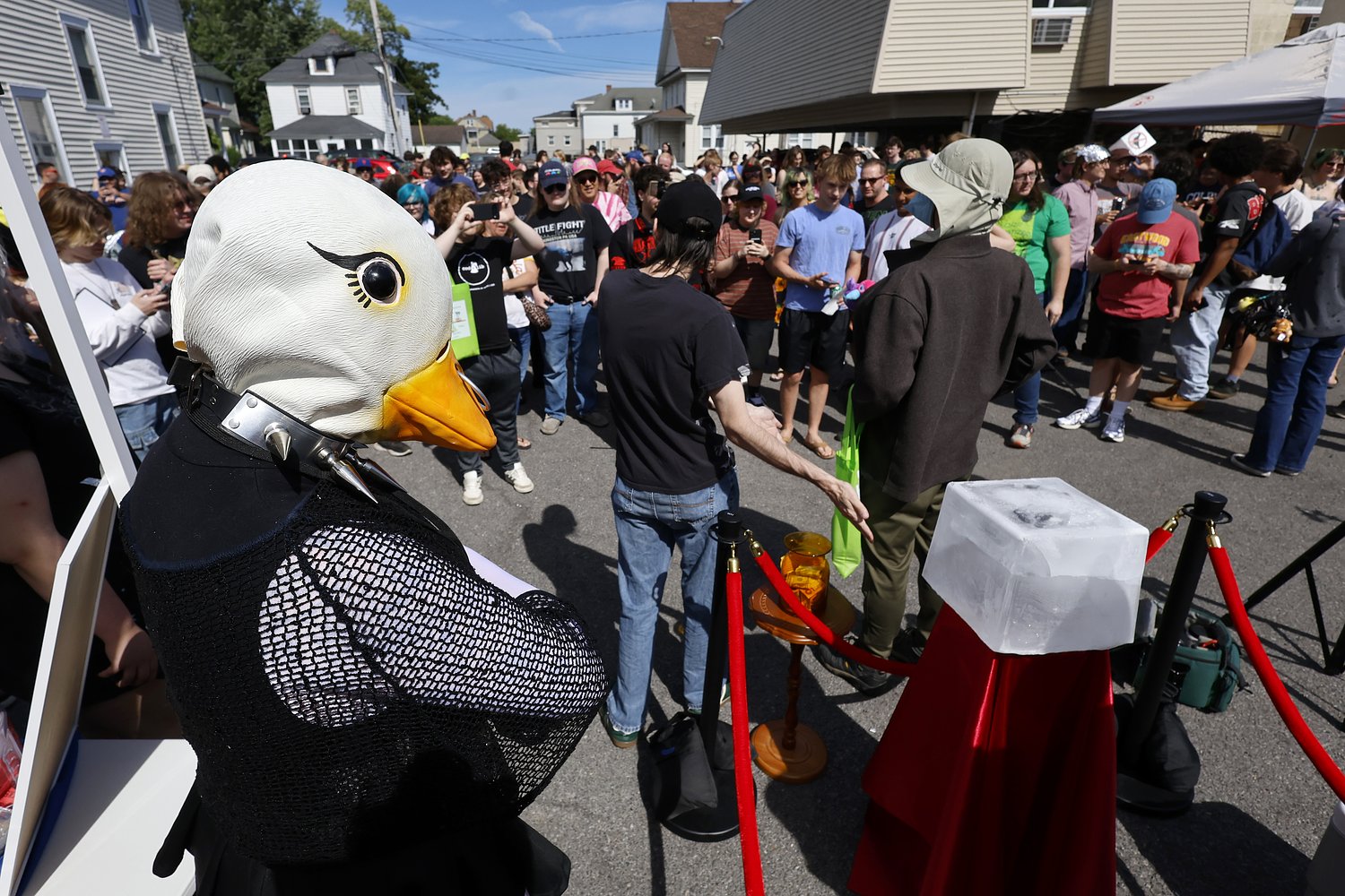 Yes, they thawed that bird in Syracuse today. Yes, it was weird