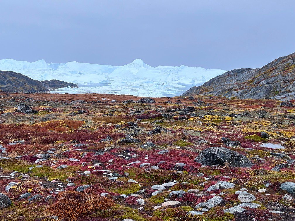 Goldring Travel’s Northwest Passage Expedition & Inuit Culinary Experiences on Quark Expedition’s Ultramarine – August 2022 – Part VI (Beauty, Solitude...and People)