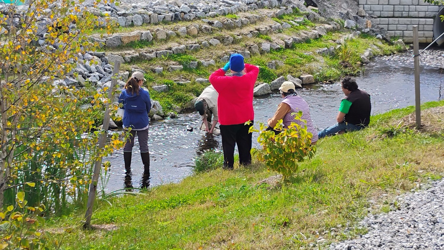 Biomonitoring done at Mill Brook in Athol