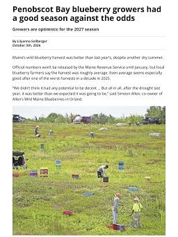 Penobscot Bay blueberry growers had a good season against the odds