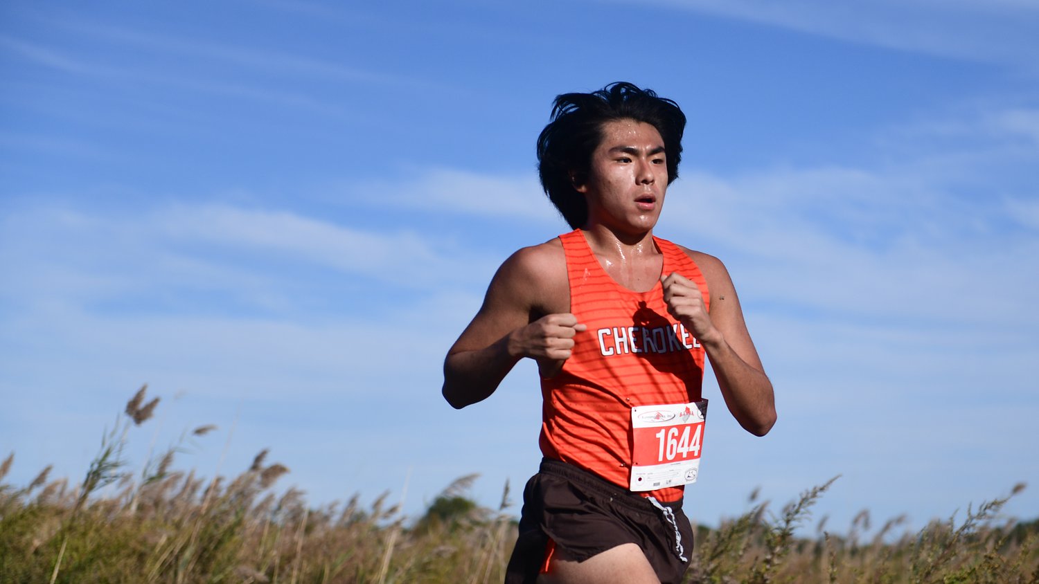 Cross County photos: Olympic Conference Championships, Oct. 21, 2026