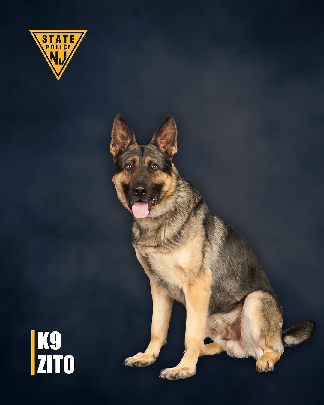 N.J. state police K-9 dies. Officials mourn a ‘dedicated public servant.’