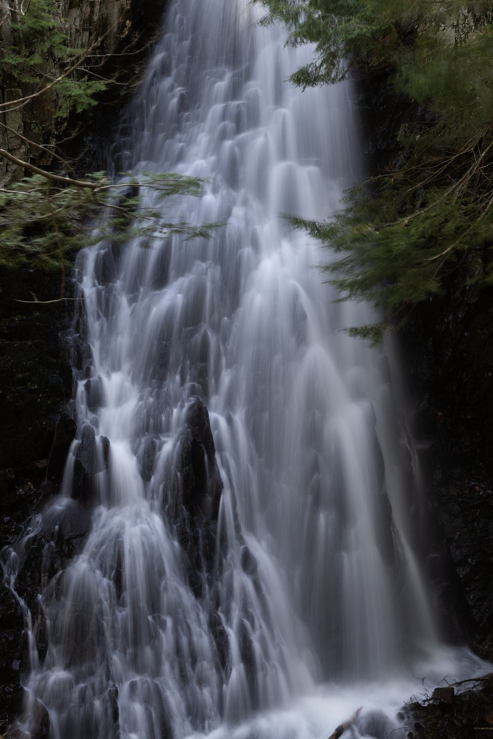 High Peaks Alliance conserves Mosher Hill Falls as the Bernard and Jean Kinney Family Forest