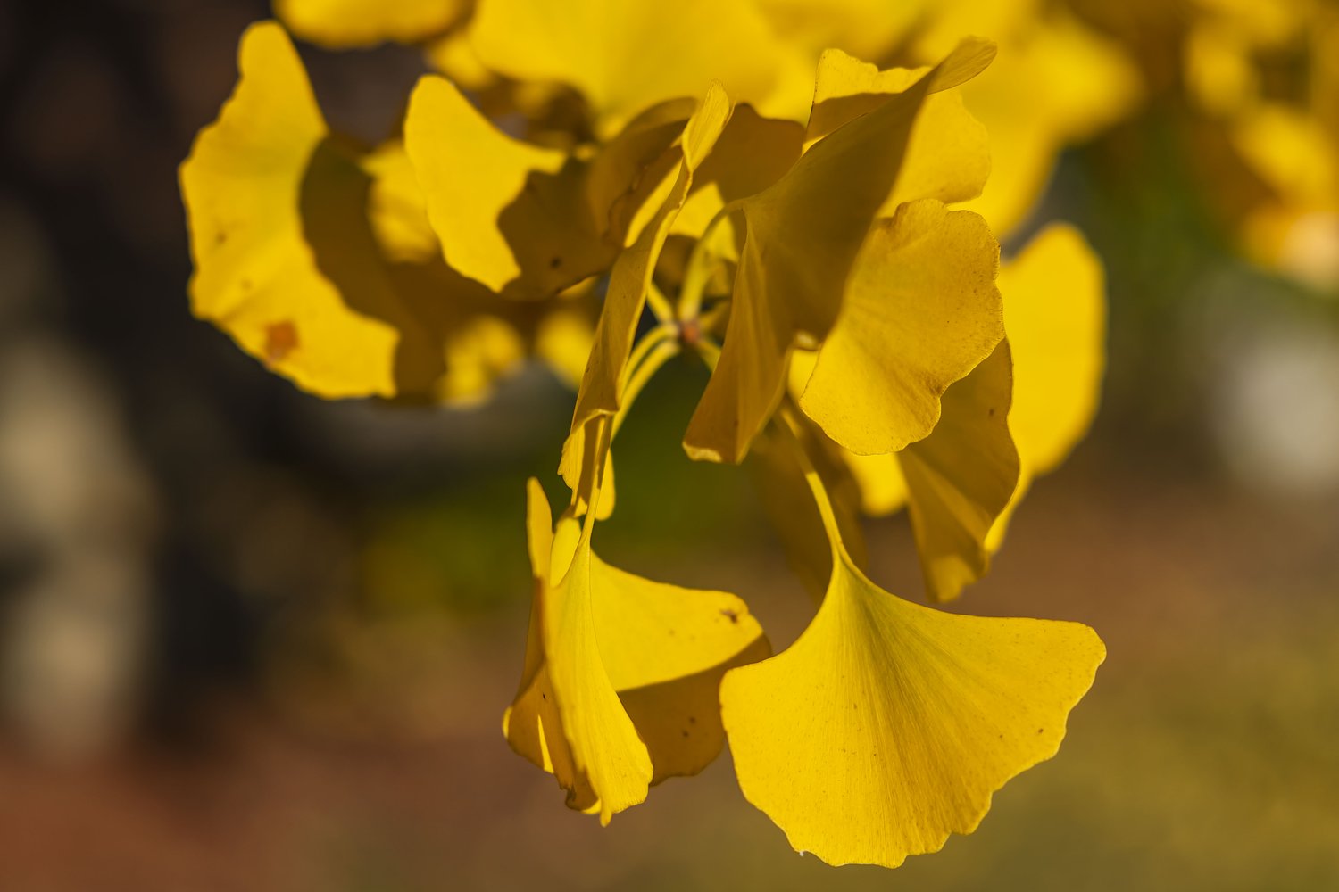 Capture the beauty of fall for Bay City State Park photography contest