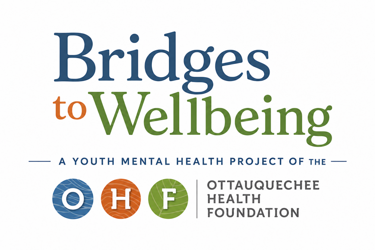 'Less alone': Woodstock-area initiative wants to connect parents with youth mental health resources