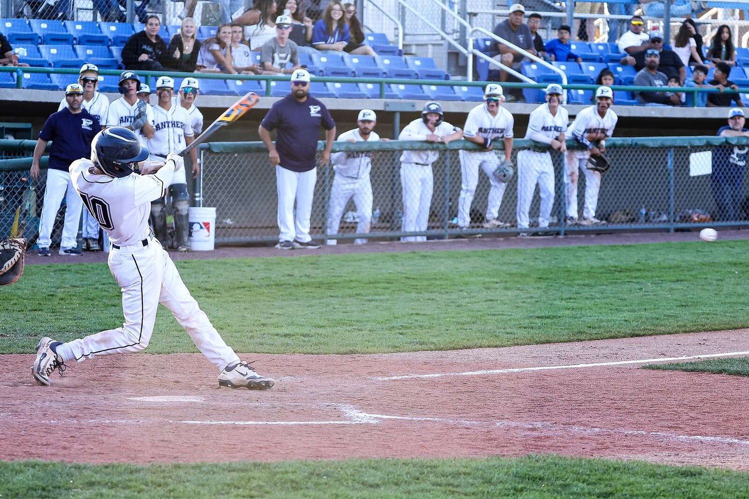 Panthers, Scorpions baseball teams ready for postseason bid
