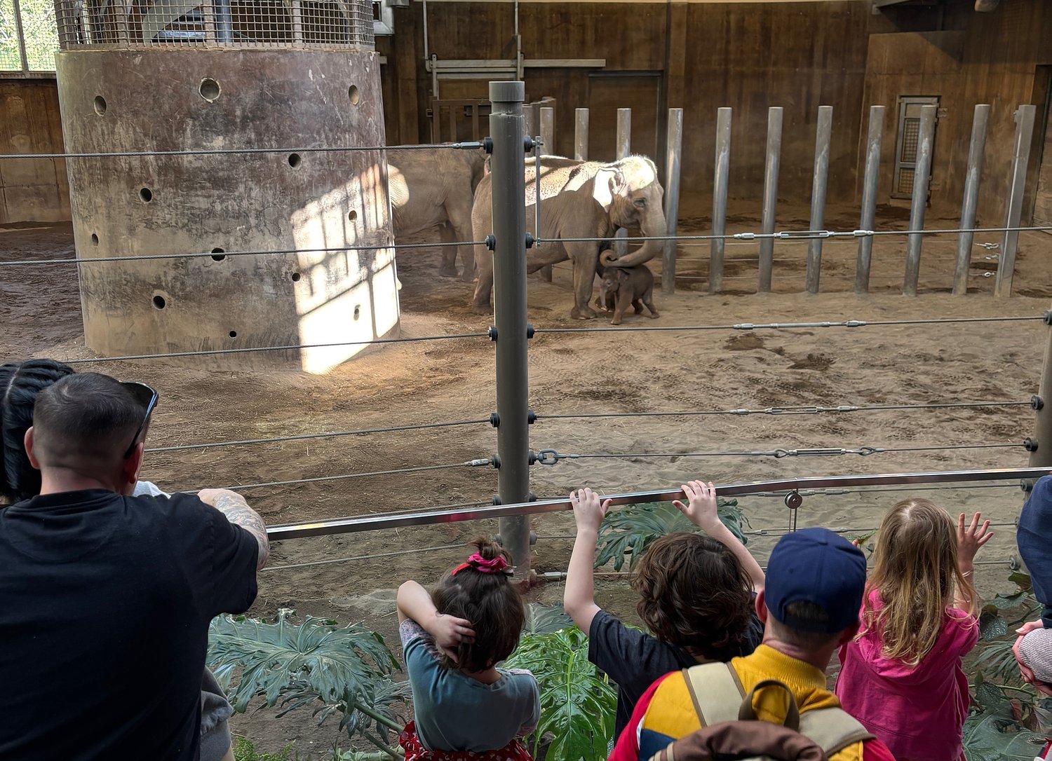 5 things to do with kids in Portland’s Washington Park this summer