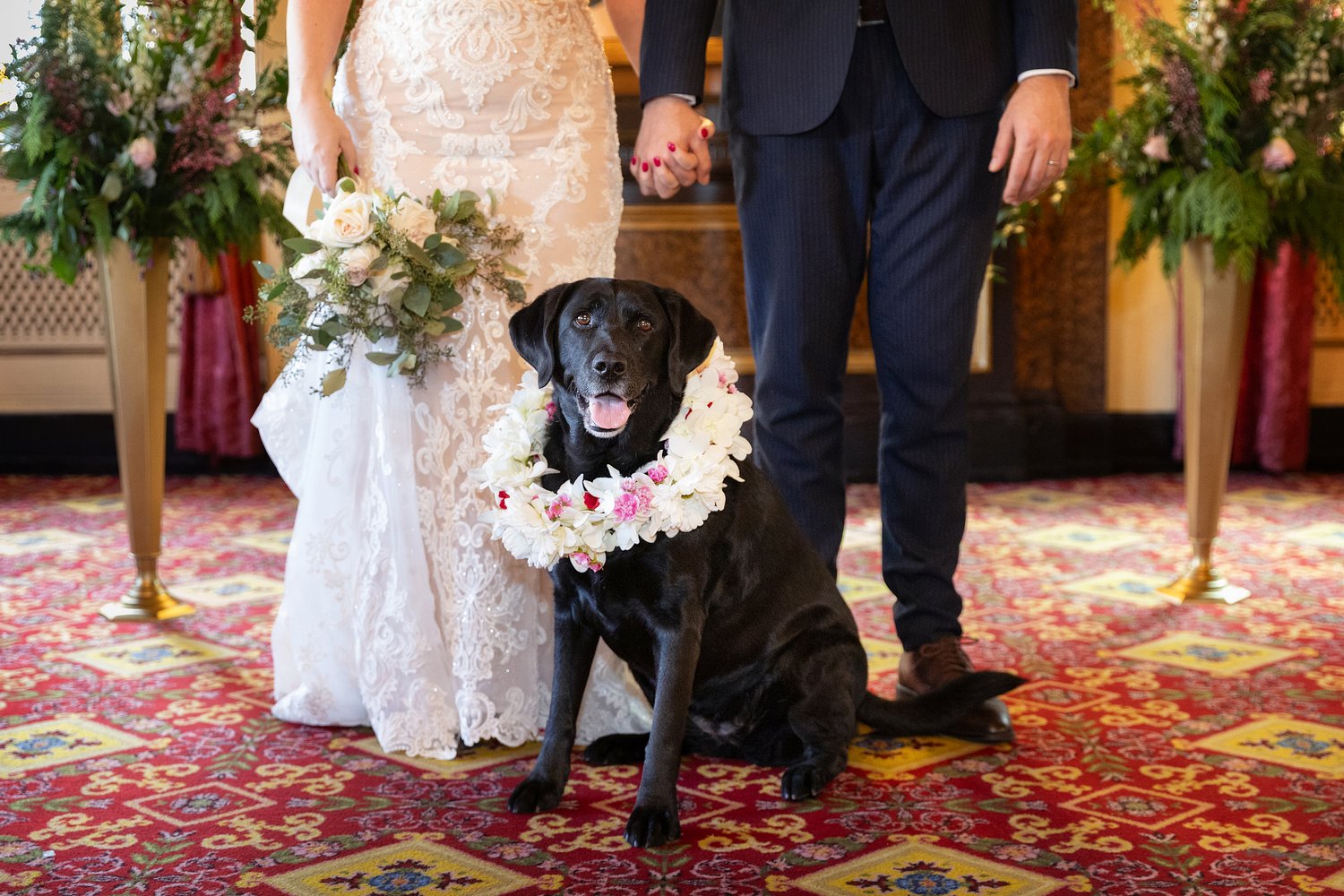 Boston is home to the nation’s best pet-friendly hotel, USA Today says