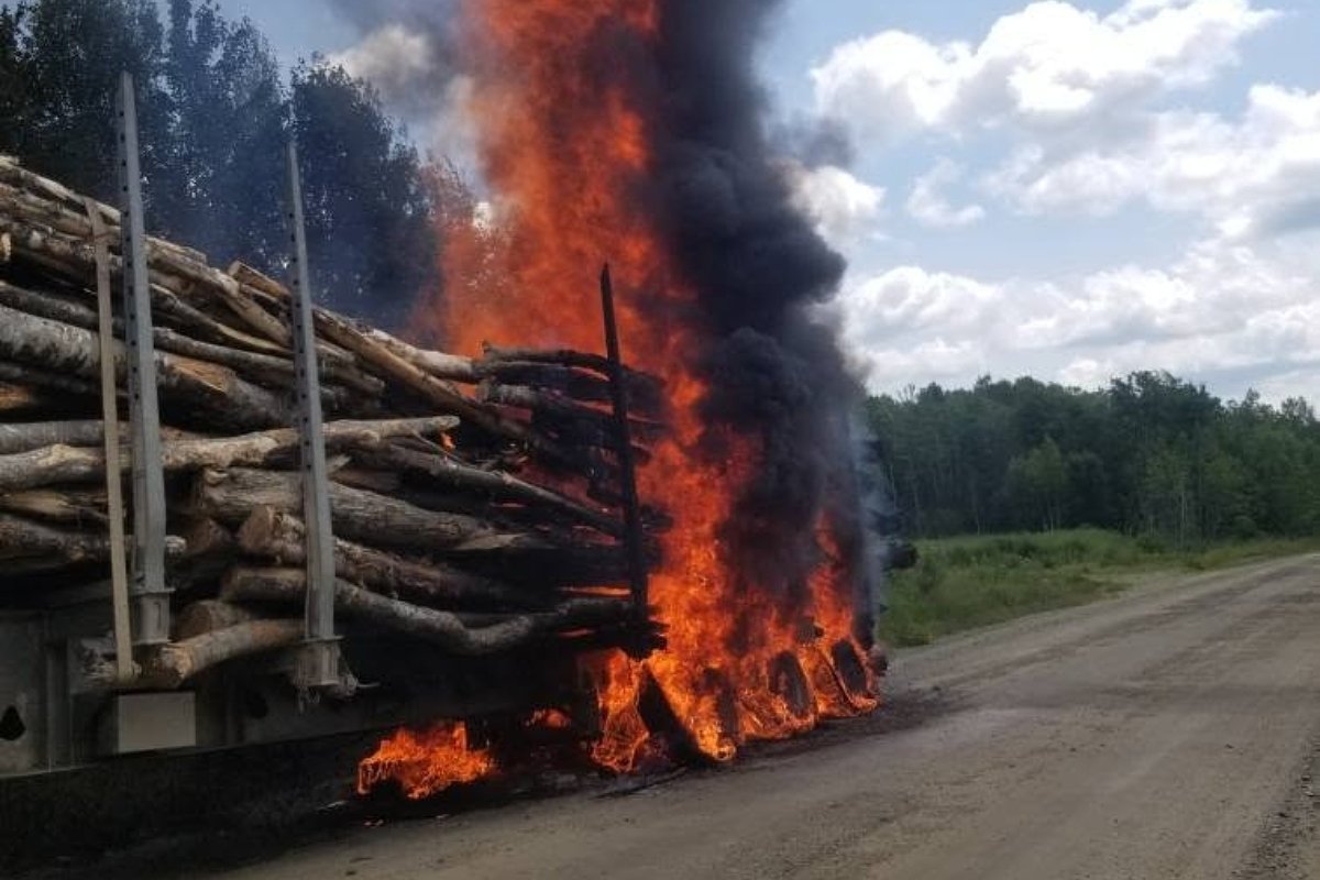 Loaded log truck catches fire in Milford