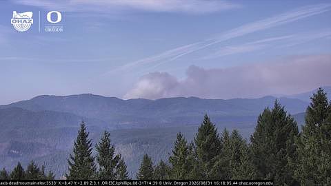 Deep Creek Fire burns 60 acres in Willamette National Forest