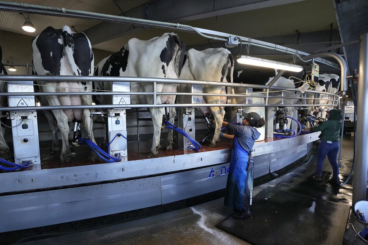 Rumor of ICE crackdown on Maine farms highlights fears for legal workers