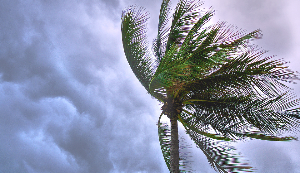 Hawaii hurricane warning to affect flights, cruises: Are your travel plans affected?
