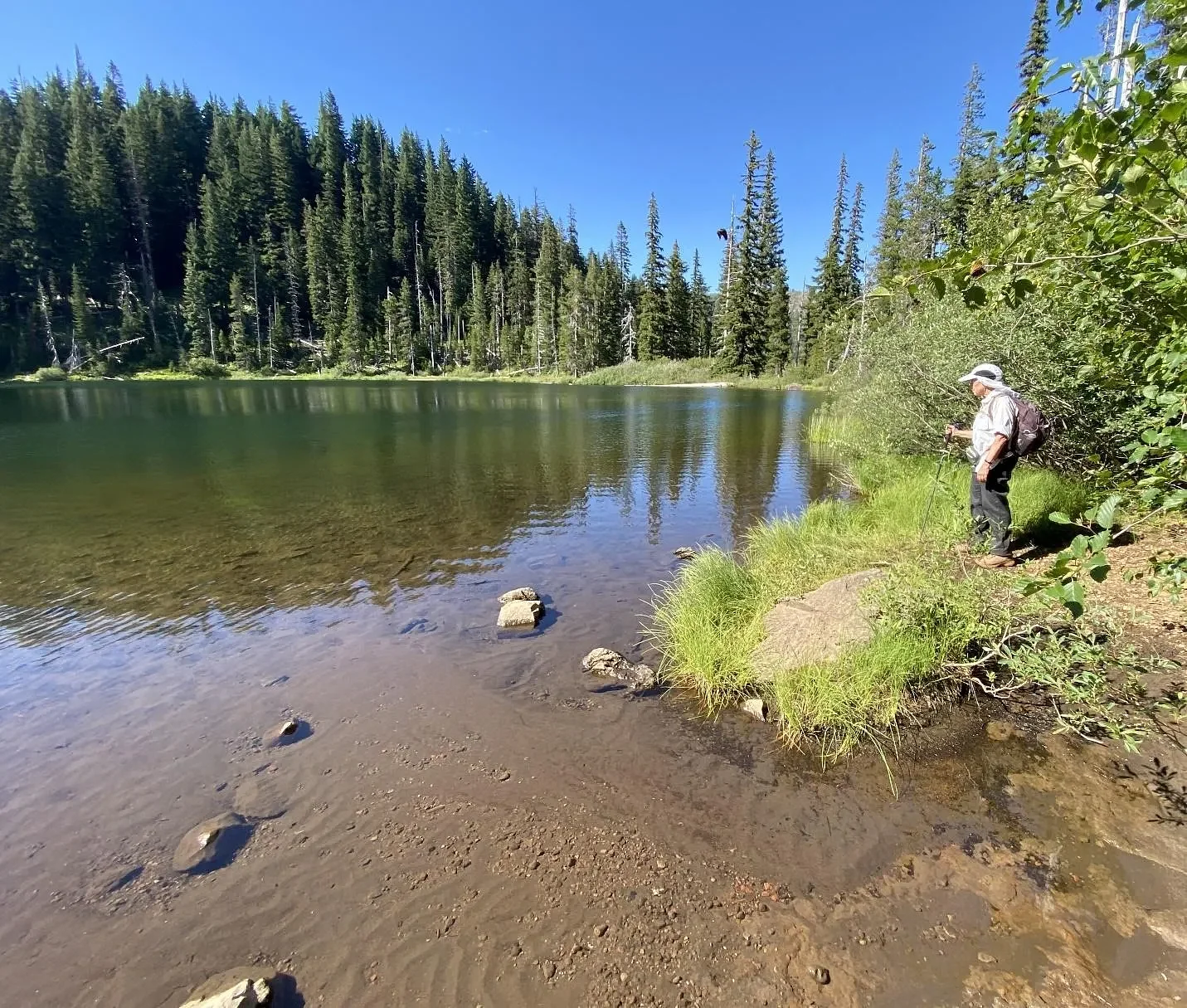 Easy hike near Mount Jefferson is perfect for the huckleberry hunter
