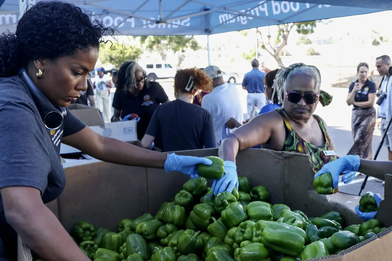 San Diego County held the first of nearly 100 free food giveaways on Saturday. Here’s why