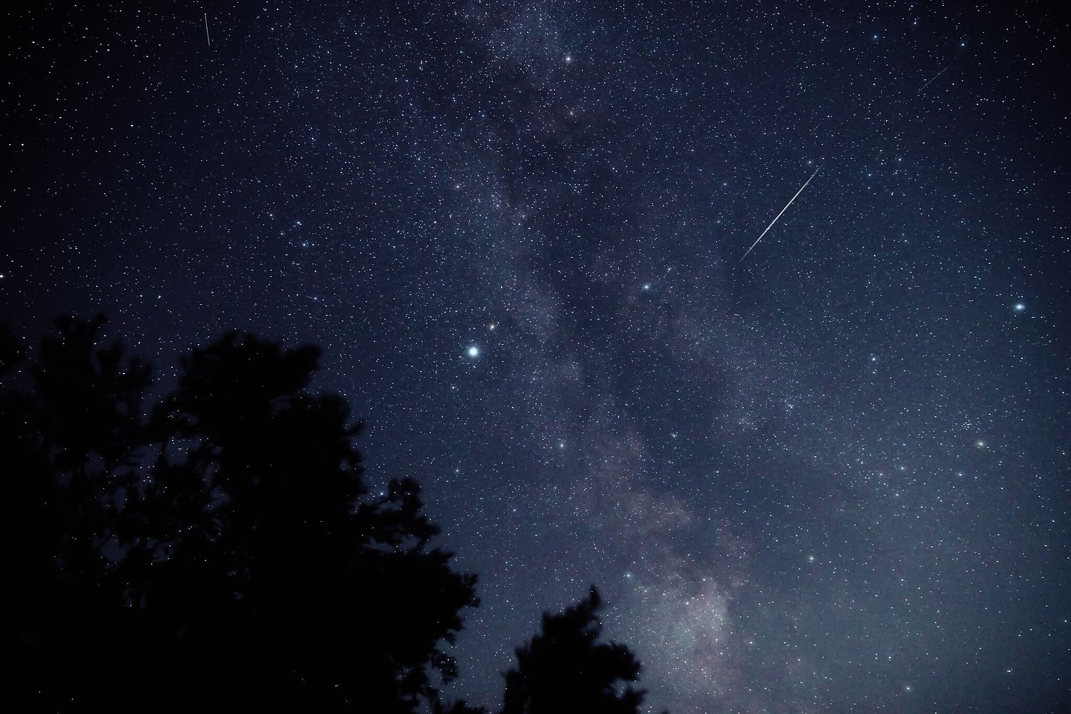 Connecticut state park to host free campout for Perseid meteor shower this weekend