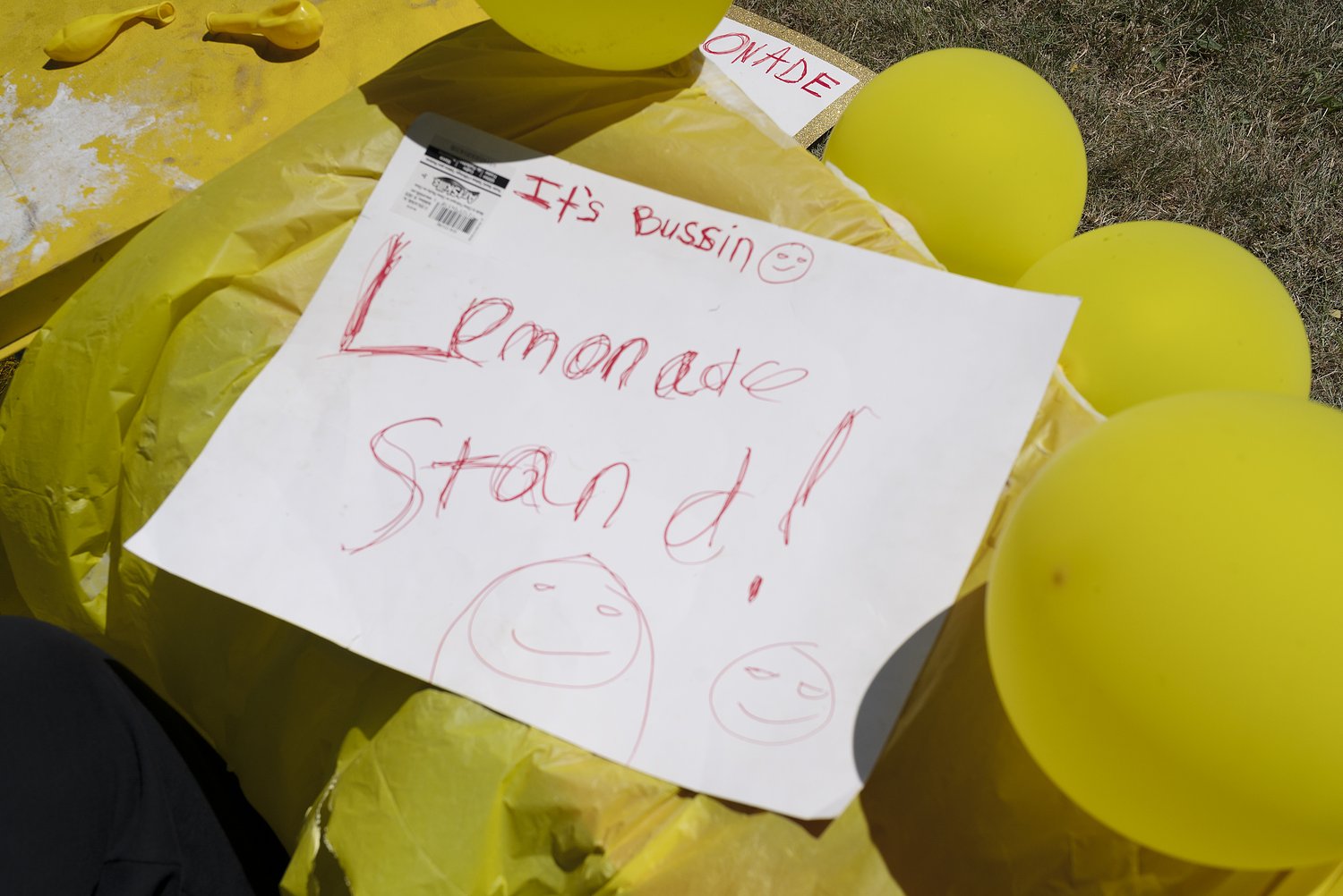 Michigan brothers fight hefty fees to run a lemonade stand