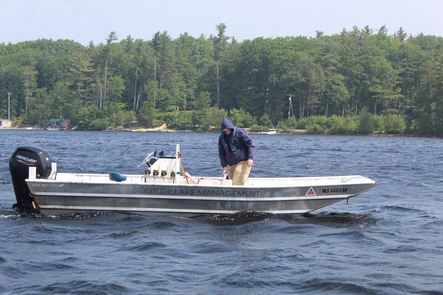 New Hampshire lake groups fight back against milfoil invasion