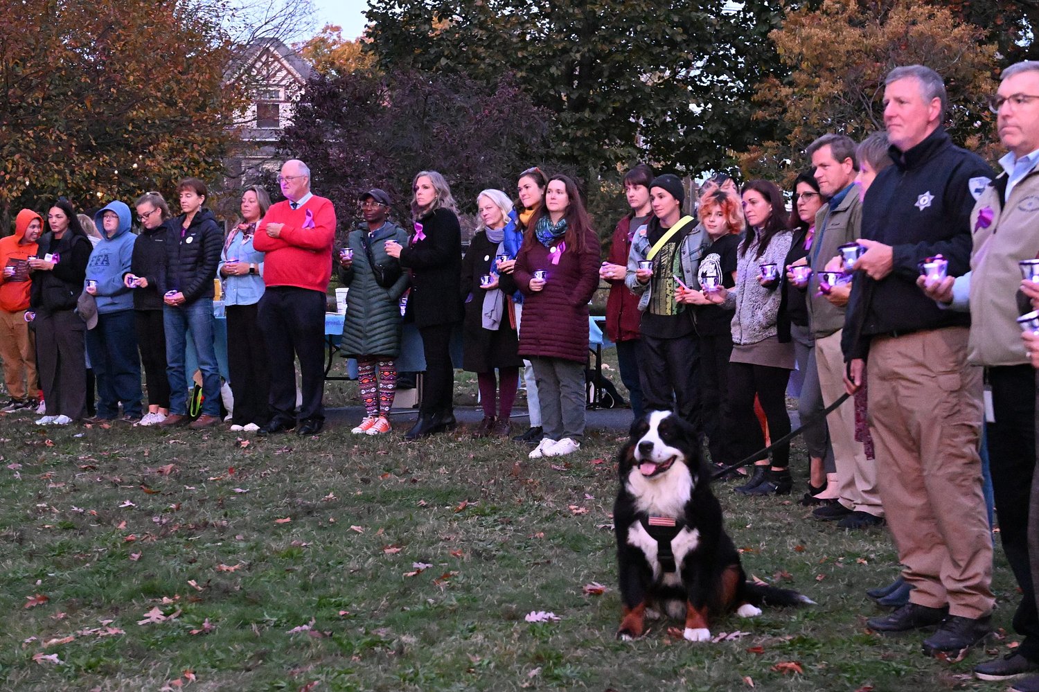 Local events honor survivors during Domestic Violence Awareness Month