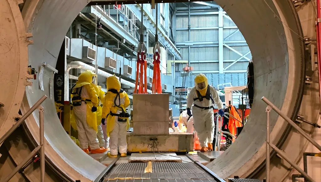 Damaged nuclear fuel assembly removed from Palisades reactor
