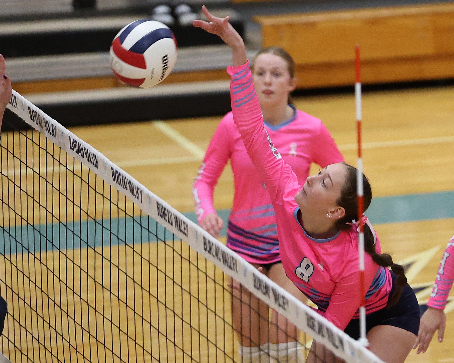 Bureau Valley Pink Night raises $3,315 for breast cancer support groups