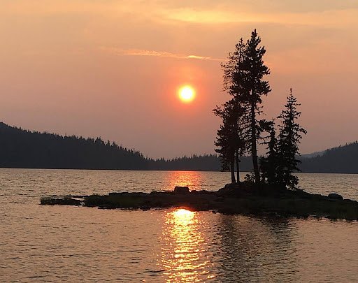 Raging wildfires, Smokey Bear and the lessons we've failed to heed