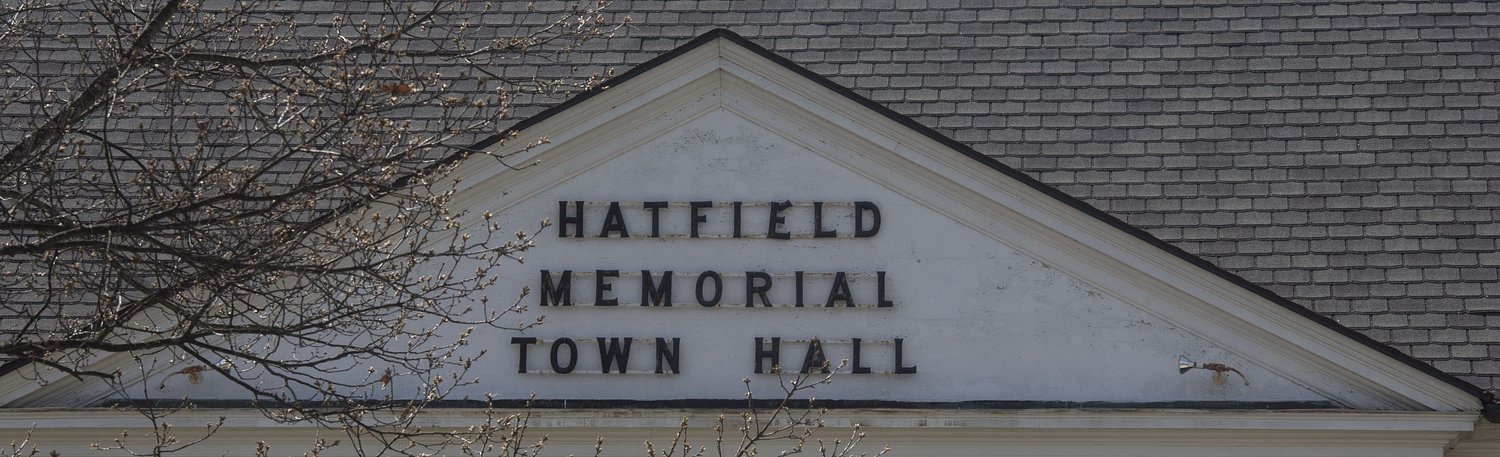 North Hatfield landscaping business faces neighbor complaints over lighting, compliance