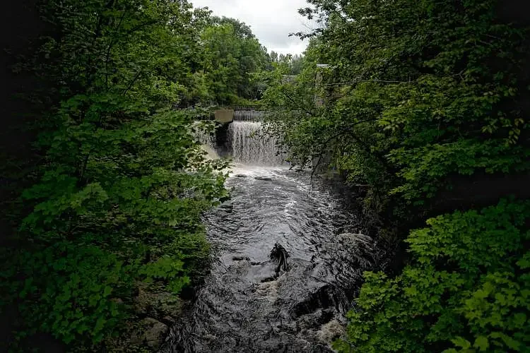 Old Dutch Mustard Co. agrees to stream monitoring, penalty in settling complaint about Clean Water Act violation