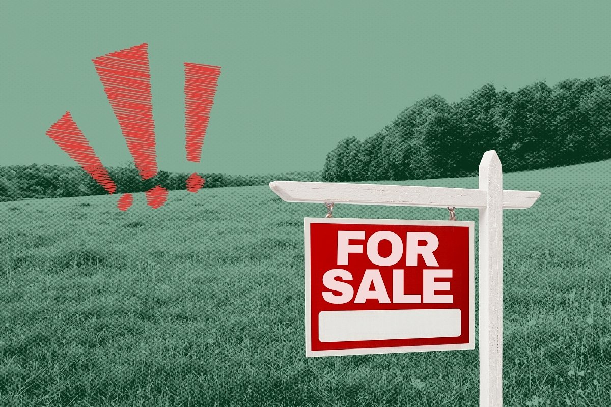 A Maine family bought land on MDI with dreams of building a home. Then a scammer tried to sell it.