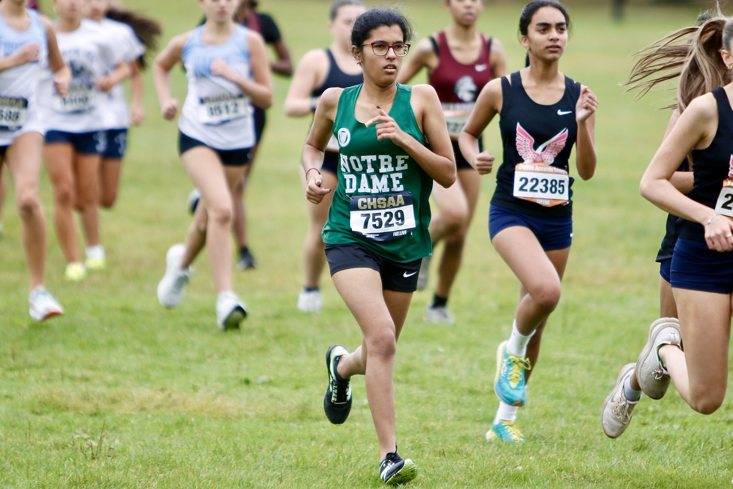 MSIT boys, Susan Wagner girls claim JV team titles; Matiychenko, Surendrajit win individually at Staten Island XC Championships (photos)