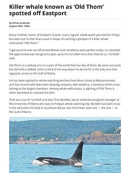 Killer whale known as ‘Old Thom’ spotted off Eastport