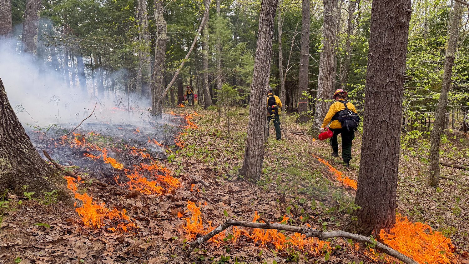 UMaine students gain firefighting experience through prescribed burn