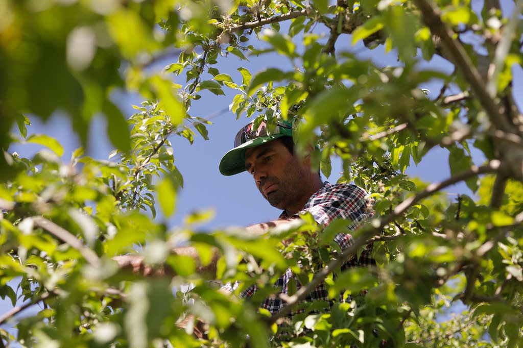 Vermont is the first state to ban paraquat, a weed killer linked to Parkinson's disease