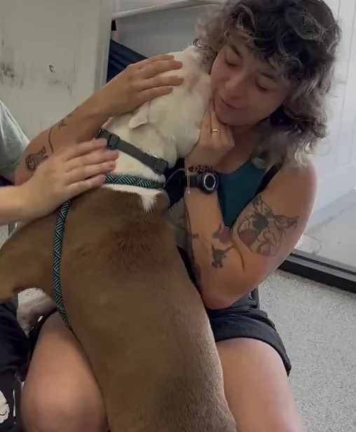 LifeLine Animal Project launches 'Meant to Meet' initiative where dogs pick their owners