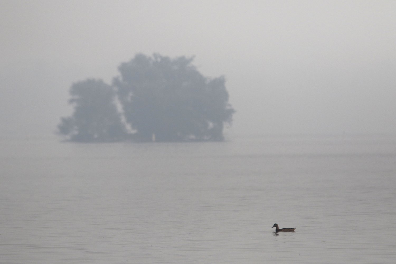 Air quality prompts beach closures, cancellations of outdoor events, activities in McHenry County