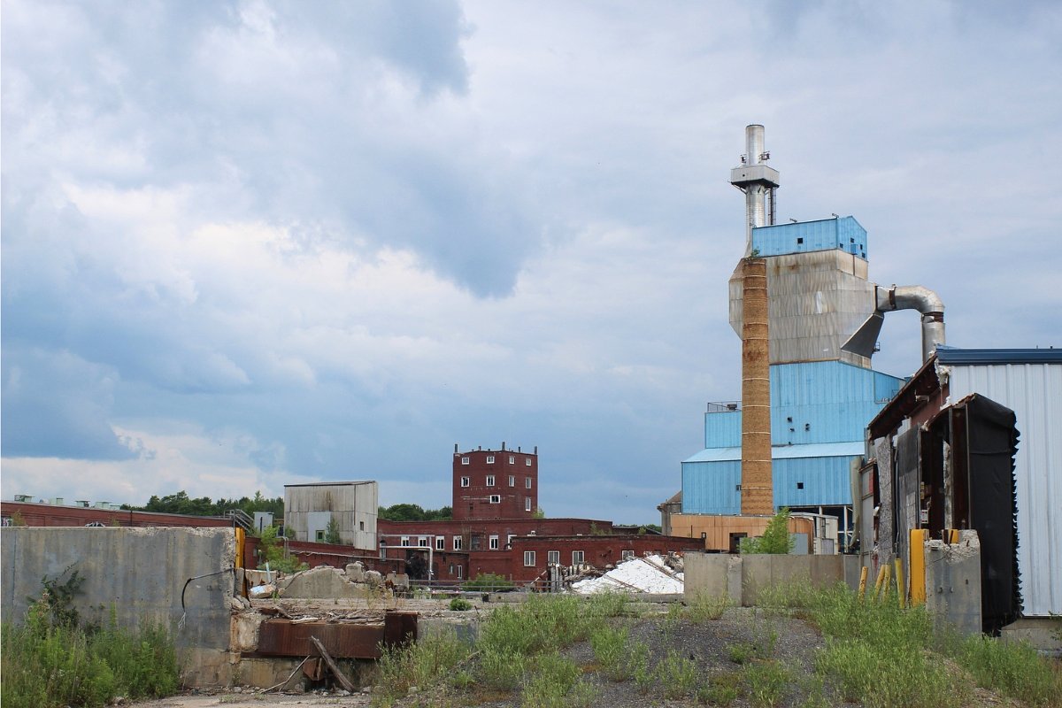 Maine has ignored this homegrown substitute for heating oil