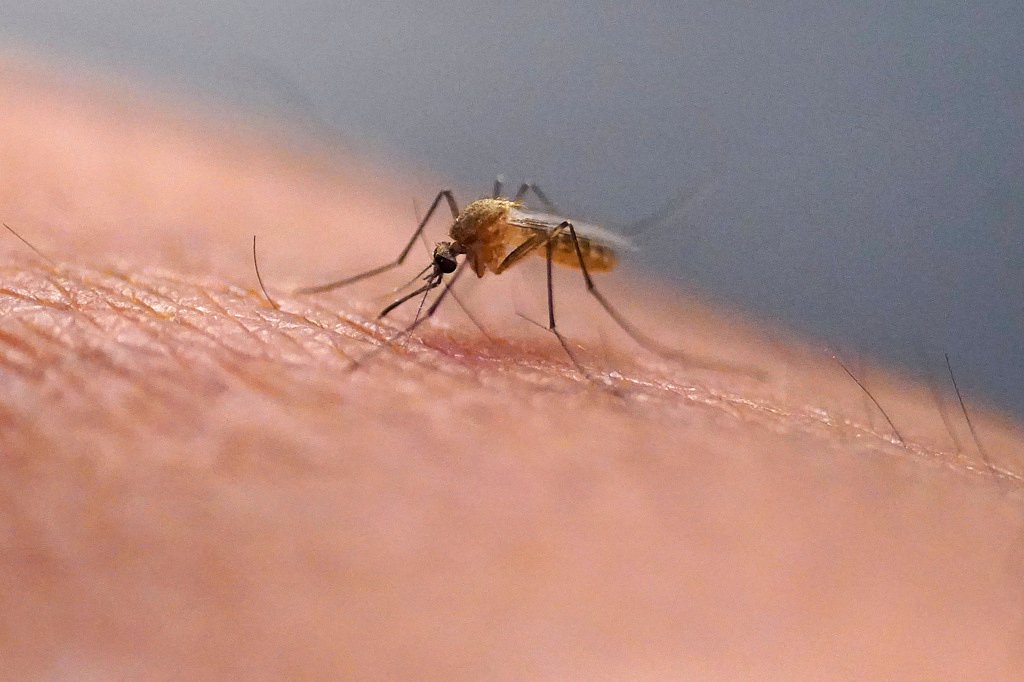 West Nile virus detected in Worcester. Spraying to take place