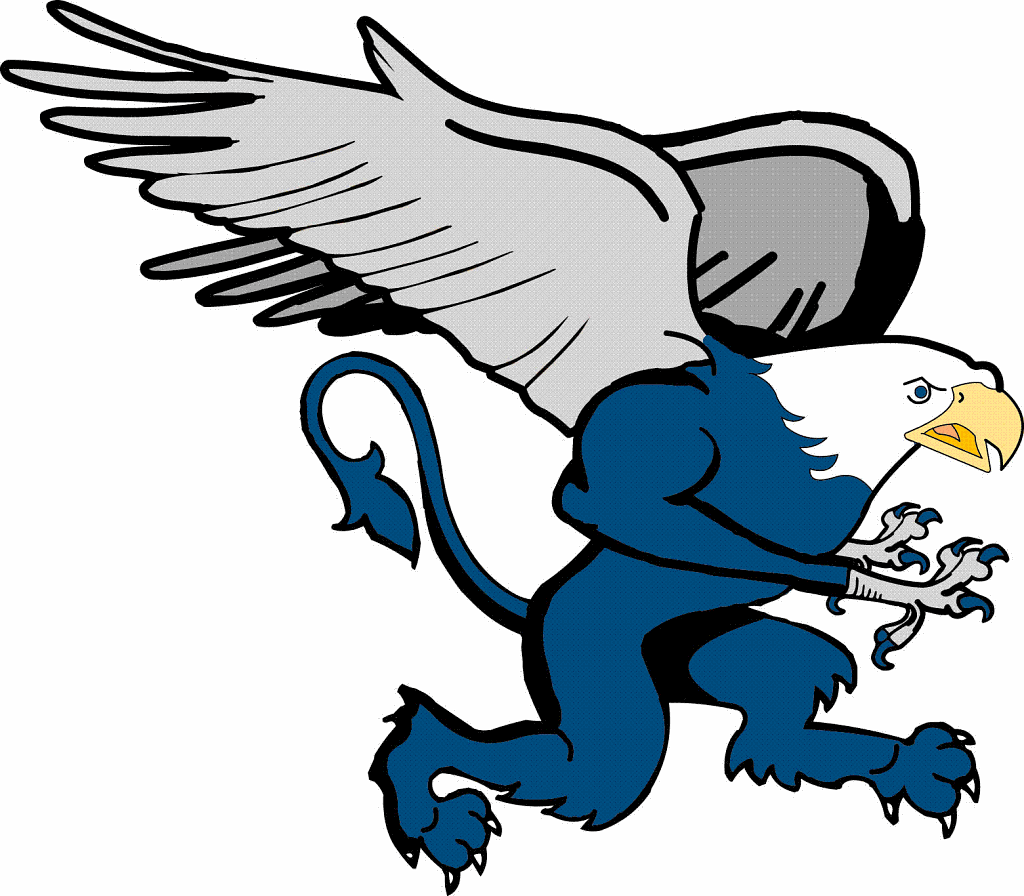 Lincoln-Way East volleyball second at Wheaton Warrenville South tourney: The Herald-News Saturday Roundup