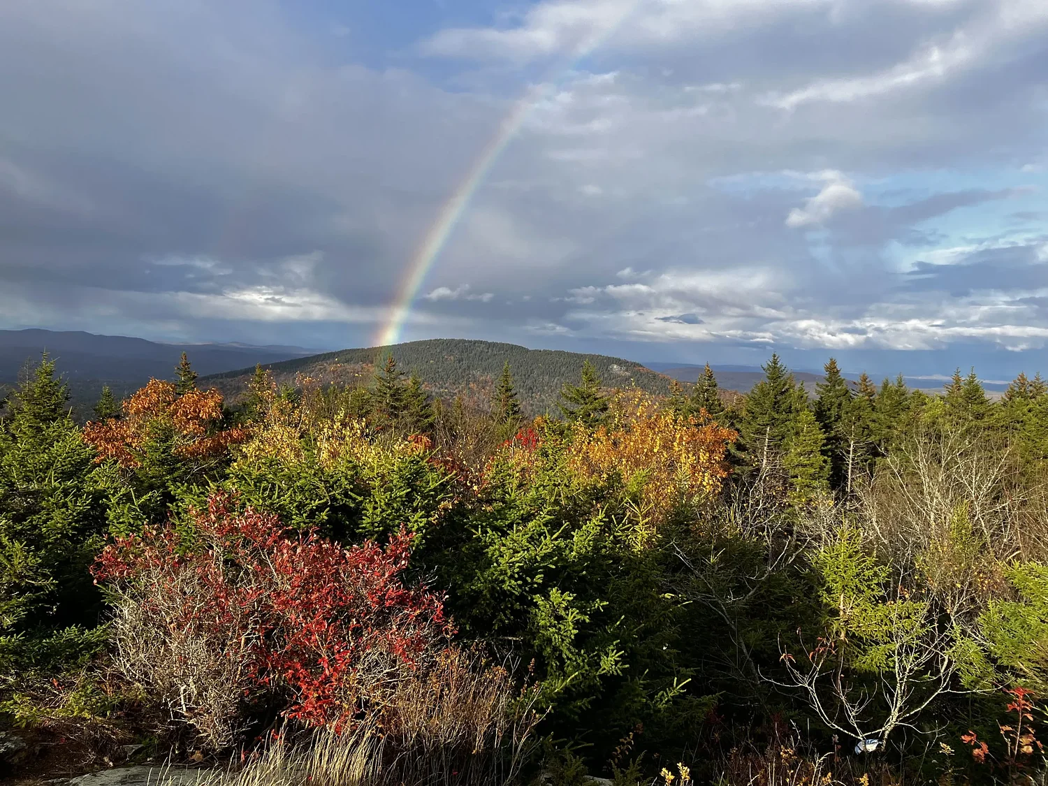 Backyard Naturalist: Fall hawkwatching on Pack Monadnock