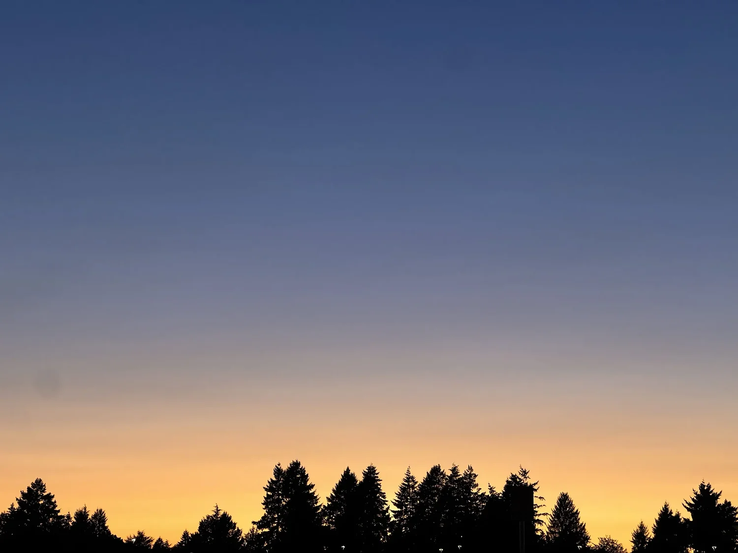 Good Morning News: Powerful PDX Interests’ Dangerous Election Stunts, Kotek’s Second-Term Policy Proposals, Early Voting Begins in US States. By Jeremiah Hayden.