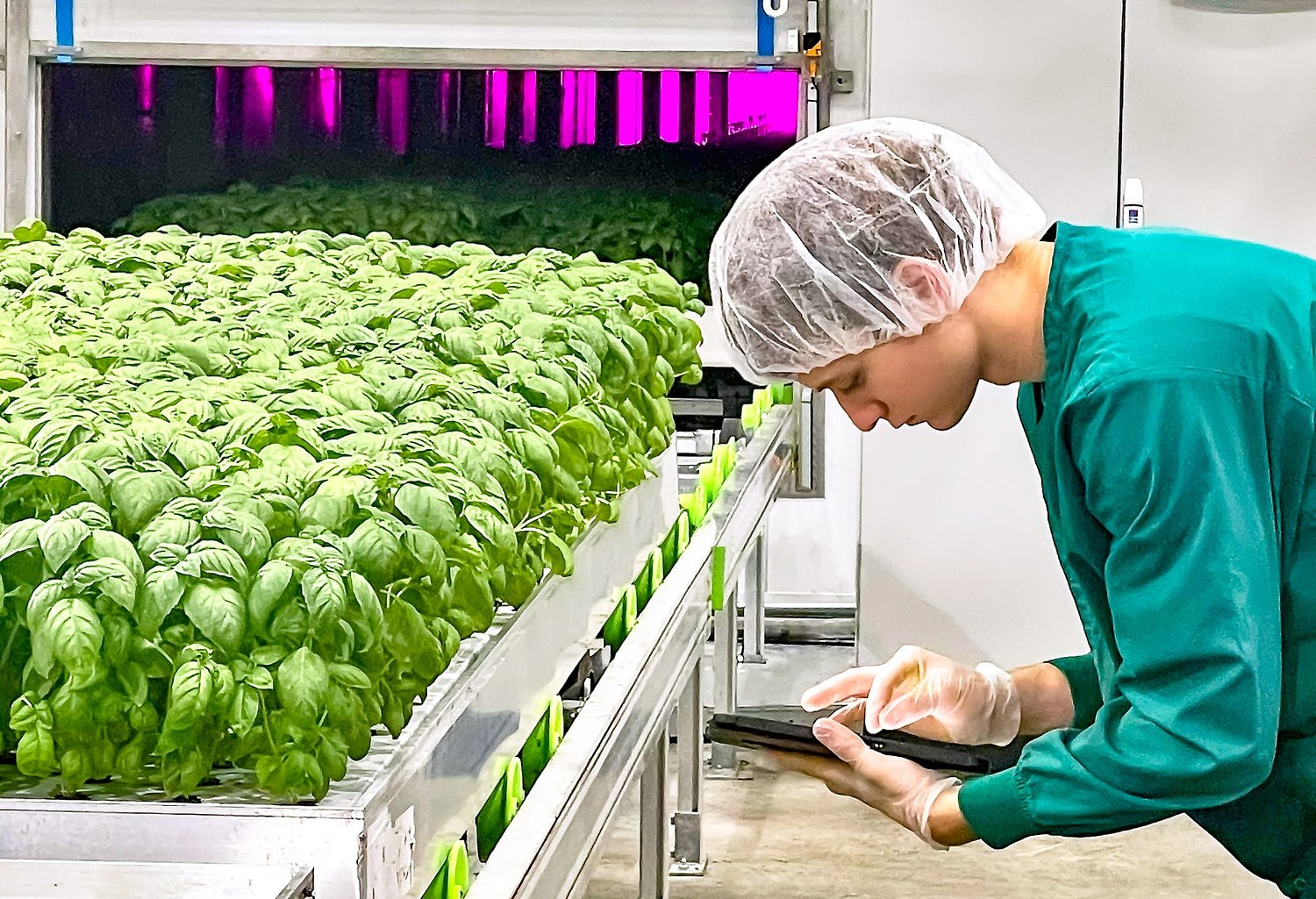 80 Acres shuts down, ending operations at Florence vertical farming facility