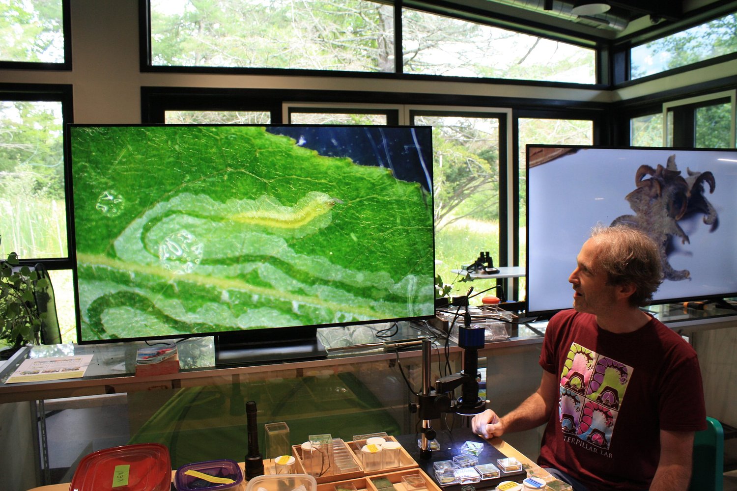 The Caterpillar Lab expands to larger Dublin location on Route 101