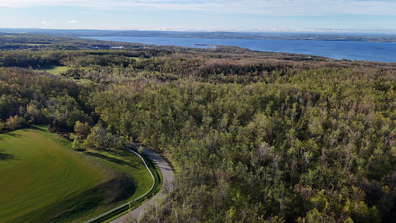 ‘The Hundred Acre Wood’ is in Northern Michigan: $3M campaign would make it a reserve