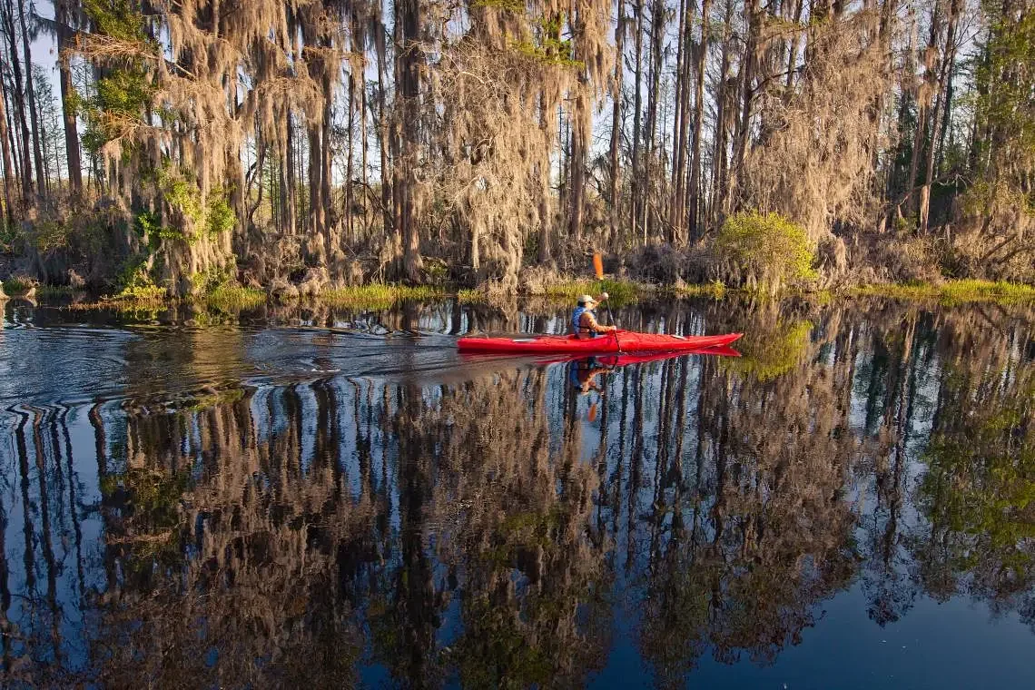 Okefenokee Swamp clinches World Heritage status, officially joining ranks of top natural wonders