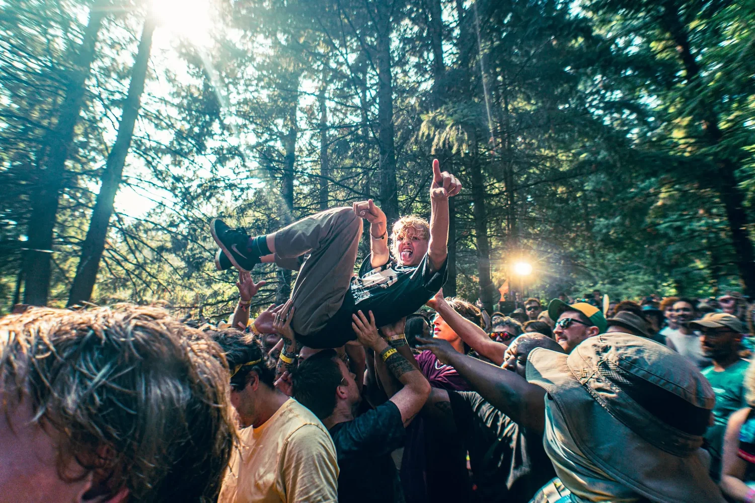 A Complete Newbie’s Guide to Pickathon