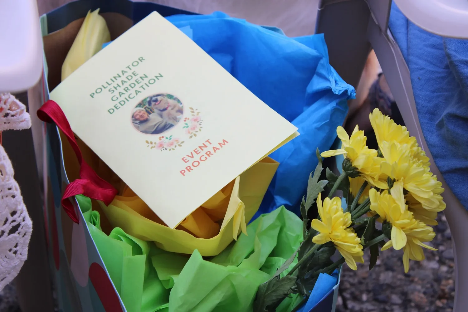 'You can't ask for a better person': Erving community honors Annabelle Lucas with pollinator garden